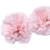 Mýdlový květ karafiát růžový